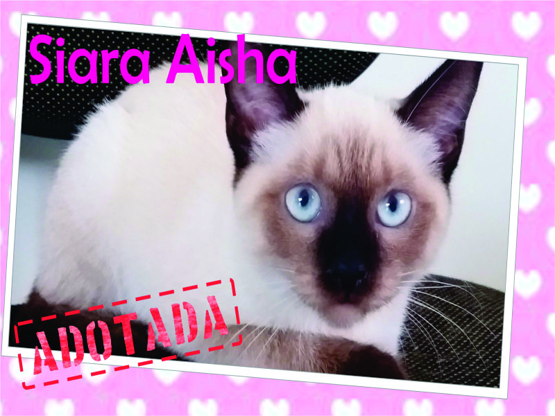 Siara Aisha