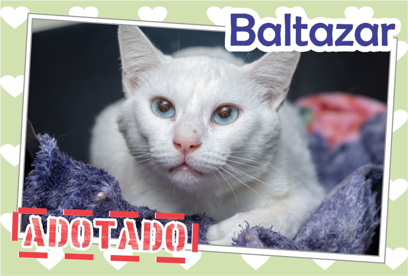 Baltazar