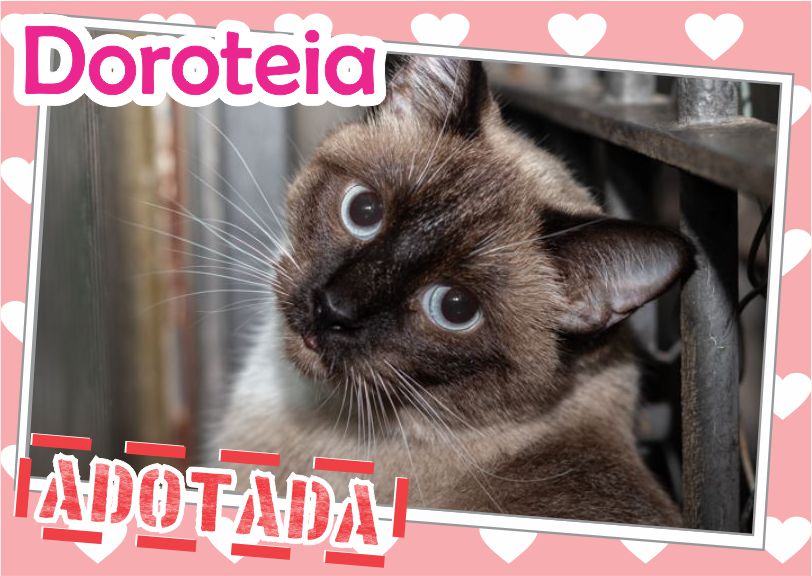 Doroteia