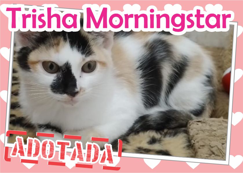 Trisha Morningstar